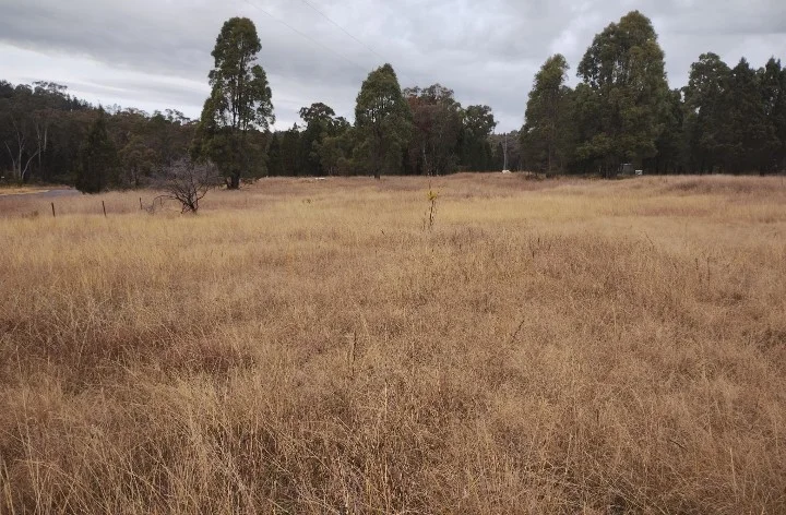 Additional image 2 of 11 Nandi Hills Place, Coonabarabran NSW 2357