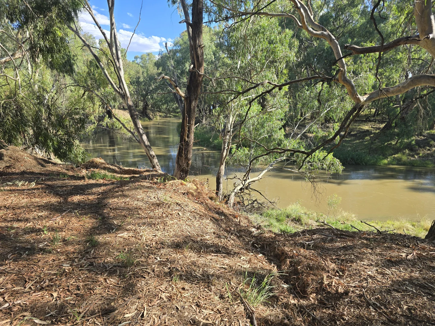 Additional image 19 of 9 Graf Street, Condobolin NSW 2877