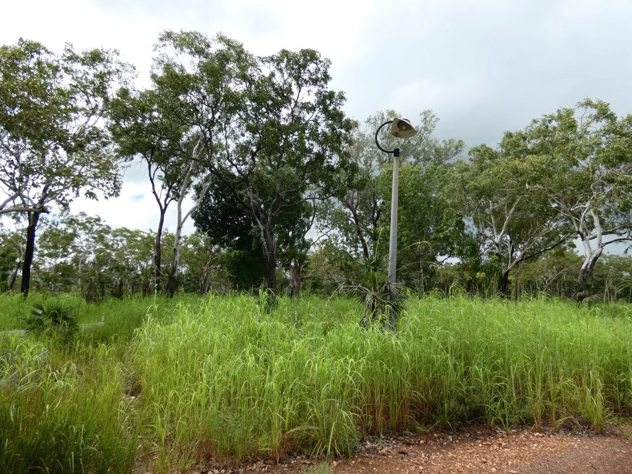 Additional image 3 of 2936 Litchfield Park Road, Charlotte NT 0822