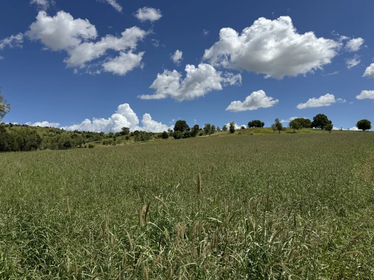 Additional image 5 of "Mustons" Frawleys Road, Thangool QLD 4716