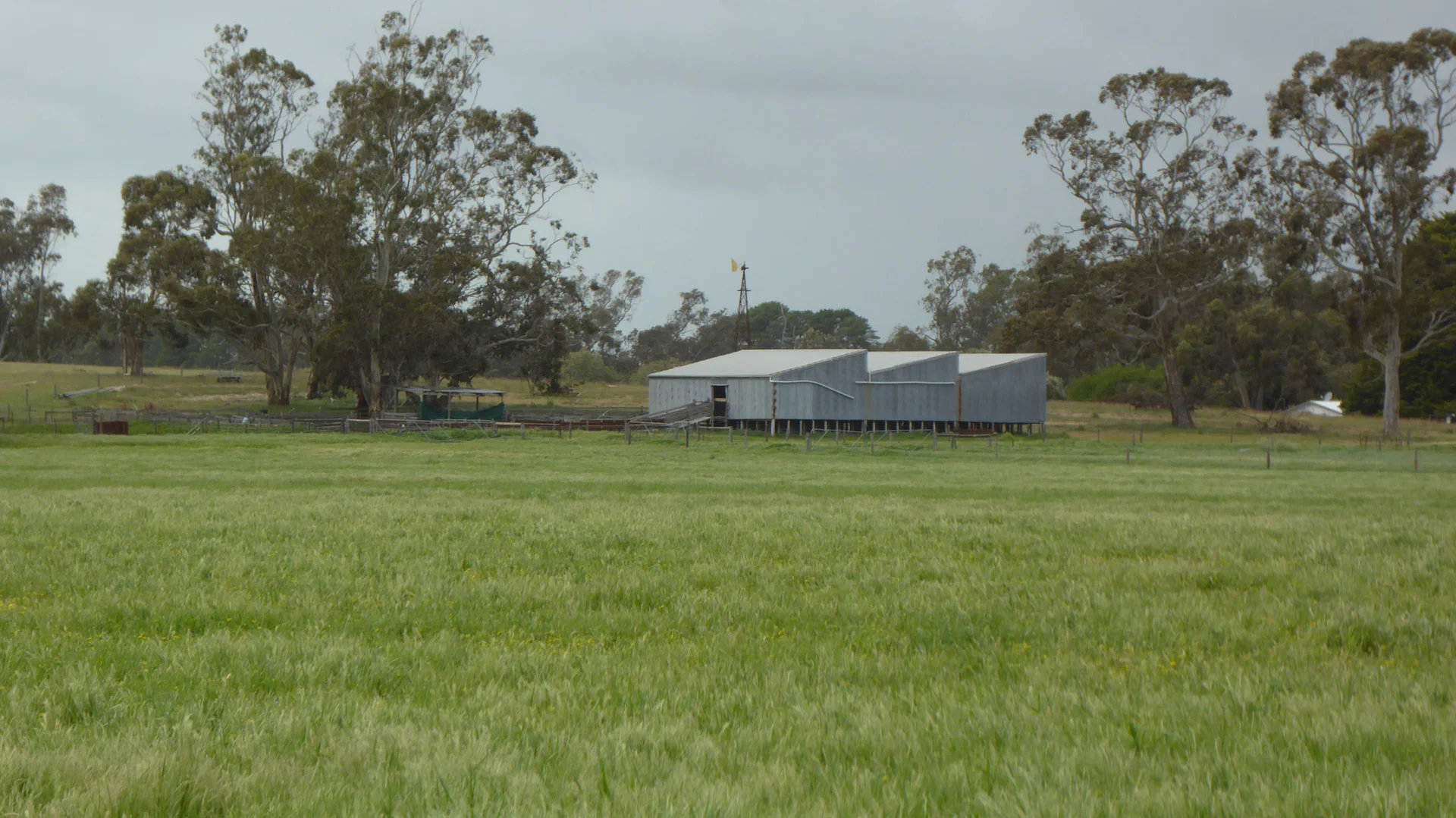 Additional image 26 of 2448 Bangham Road, Frances SA 5262