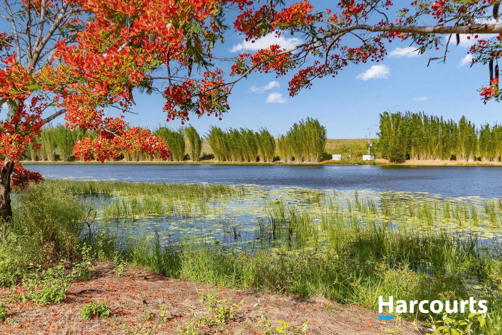 Additional image 36 of 28291 Bruce Highway, South Isis QLD 4660