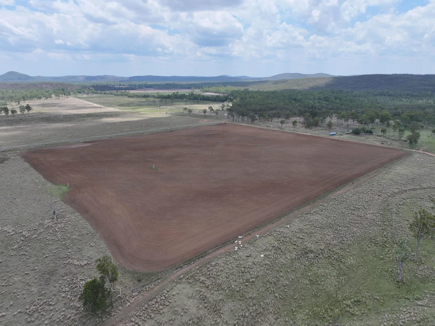 Additional image 18 of Blunder Park Station 382 Blunder Park Road, Ravenshoe QLD 4888