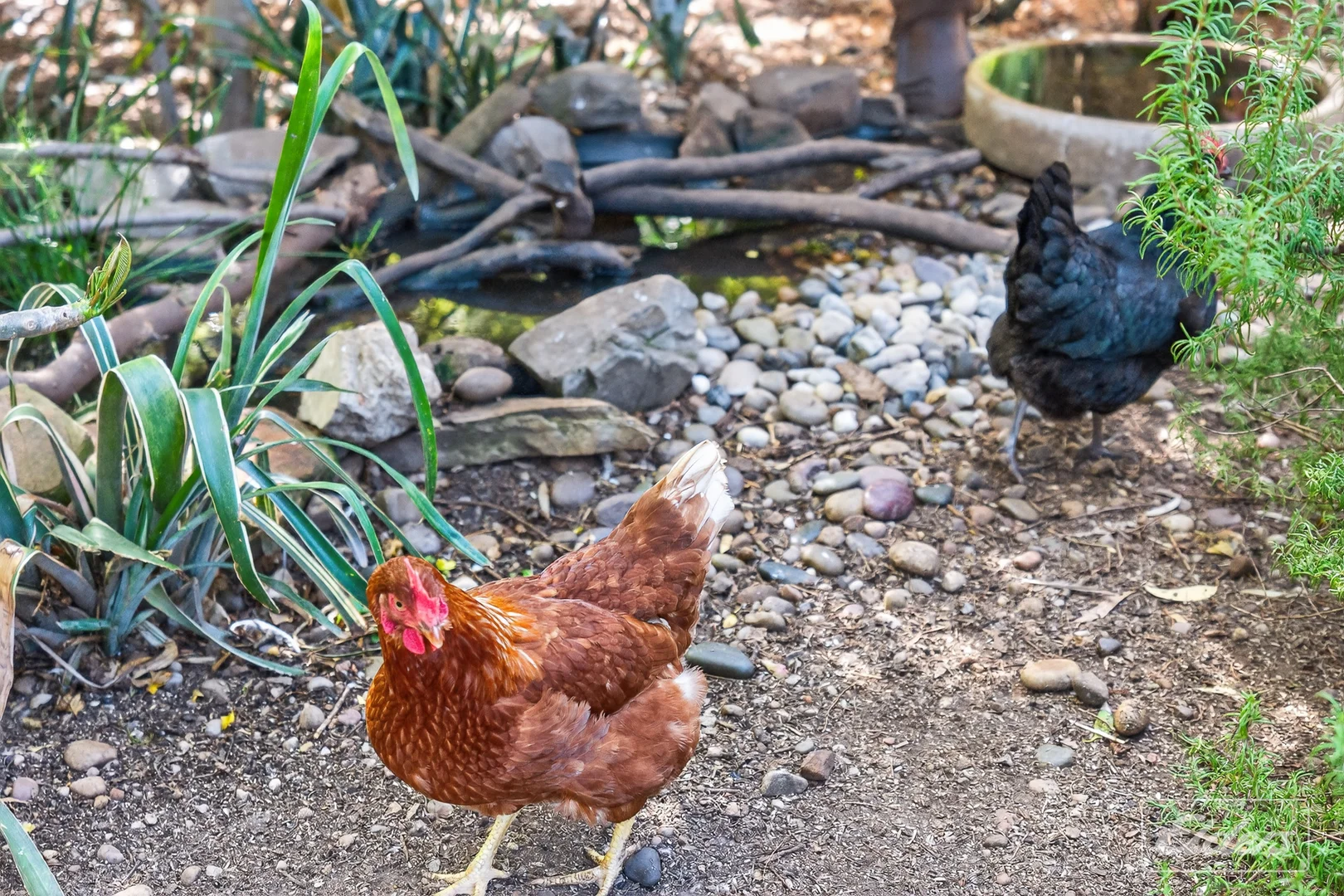 Additional image 21 of 7 Luders Street, McLaren Vale SA 5171