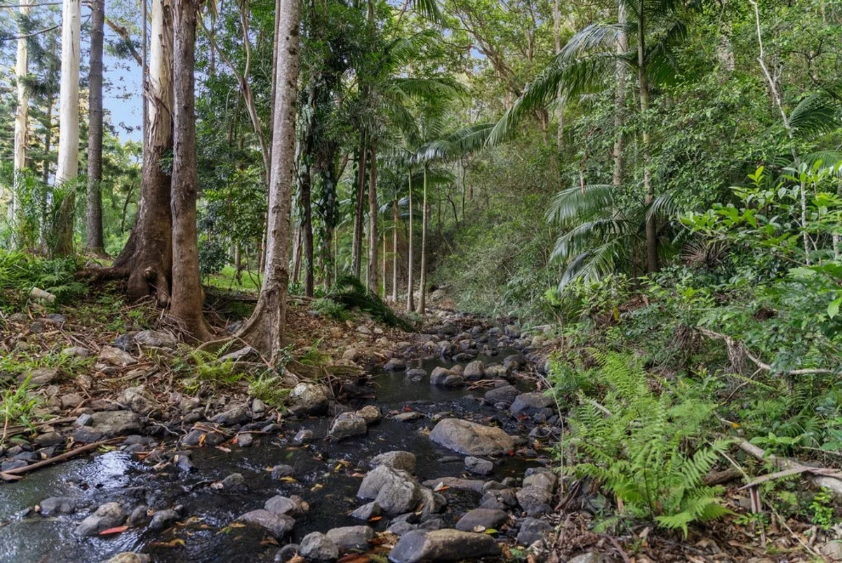 Additional image 25 of 11 Coonardoo Court, Wongawallan QLD 4210