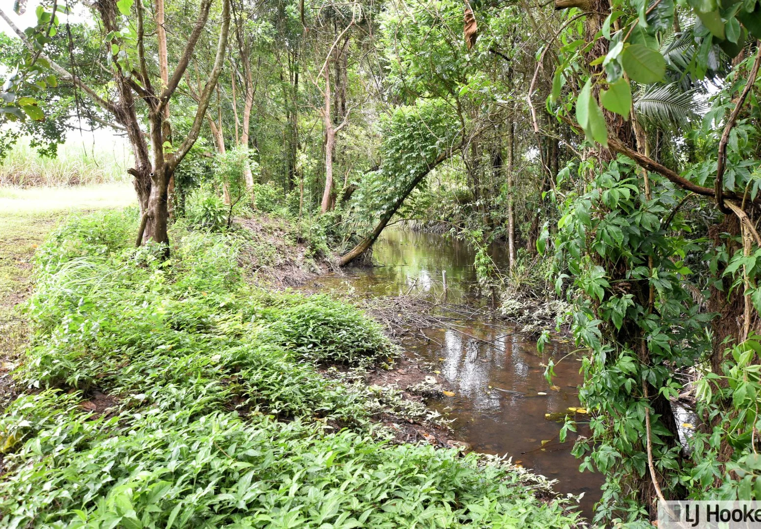 Additional image 5 of 799 Davidson Road, Euramo QLD 4854