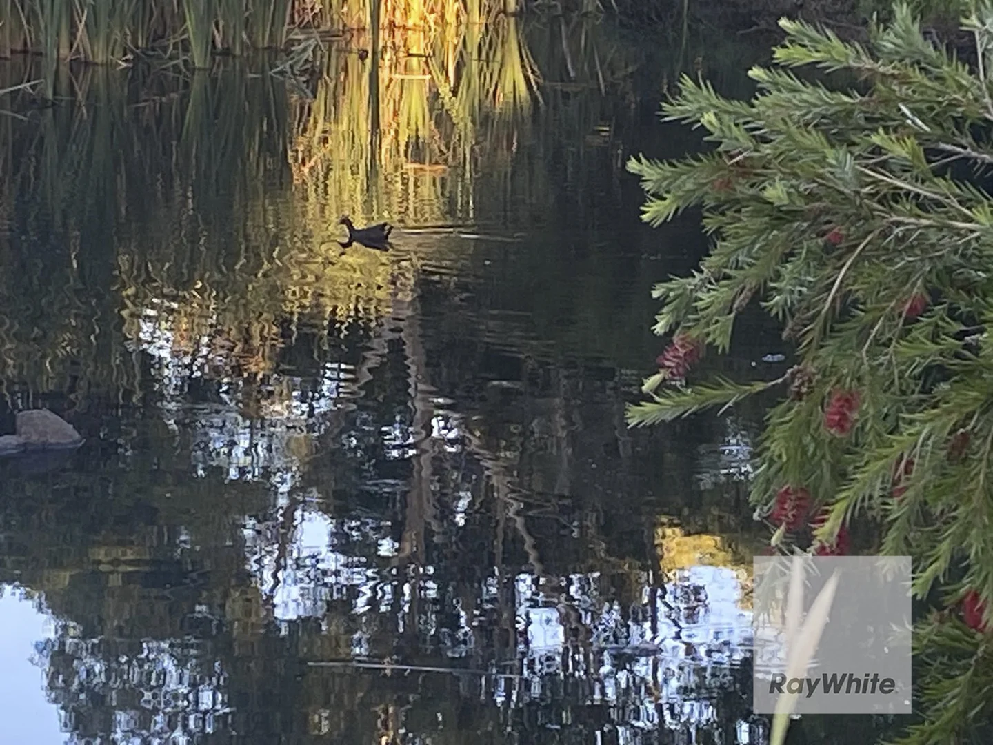 Additional image 18 of 38 Grange Boulevard, Bundoora VIC 3083