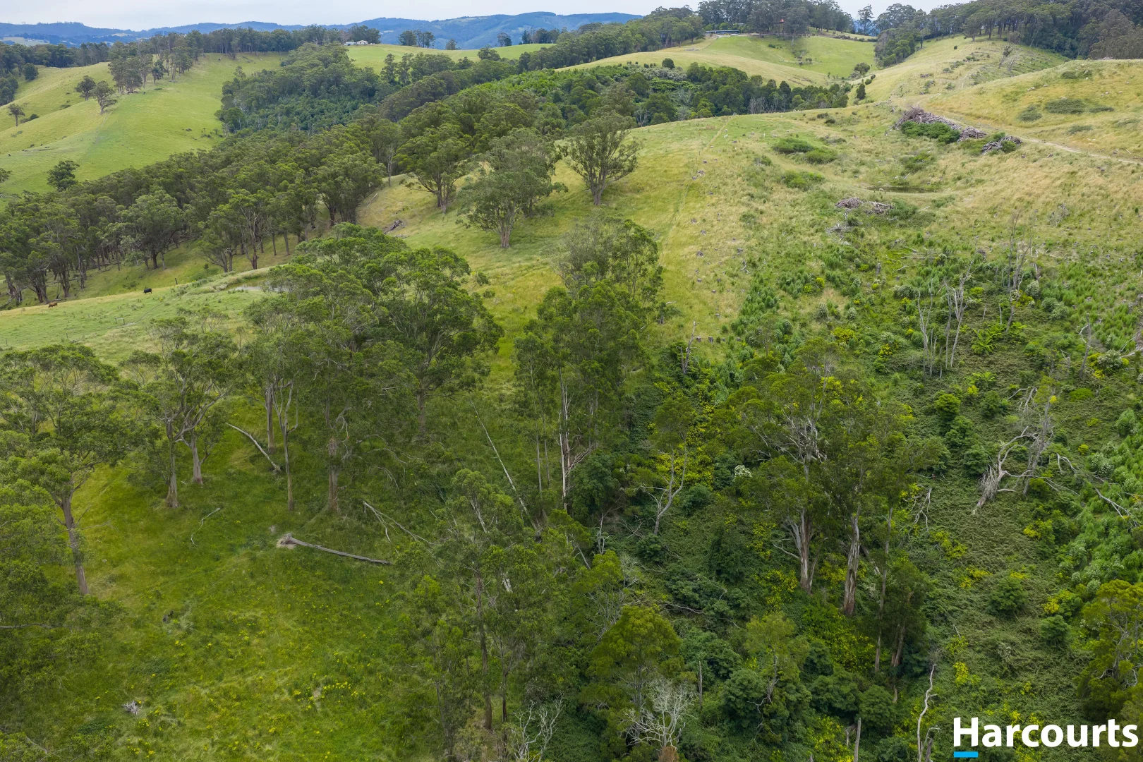 Additional image 24 of 570 Woorarra Road, Welshpool VIC 3966