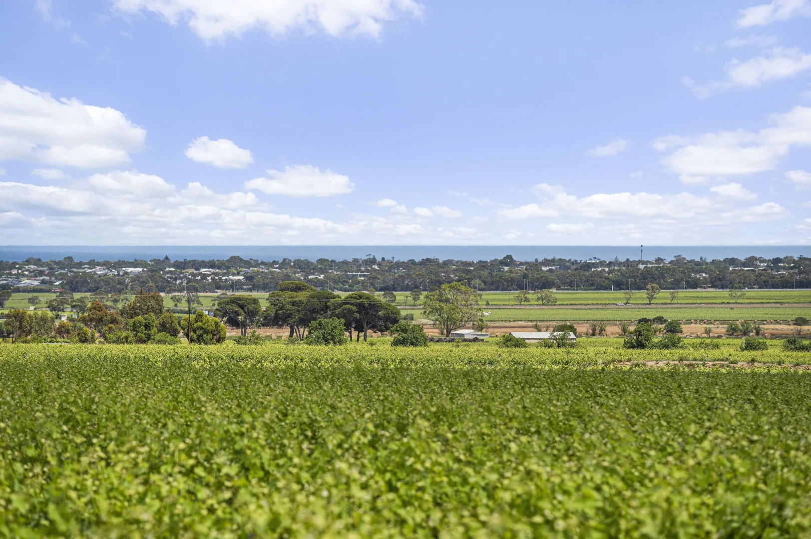 Additional image 13 of 185 Ryan Road, Sellicks Hill SA 5174