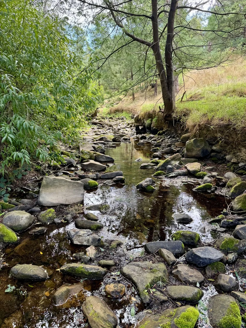 Additional image 9 of 1725 Wild Dog Valley, Strzelecki VIC 3950