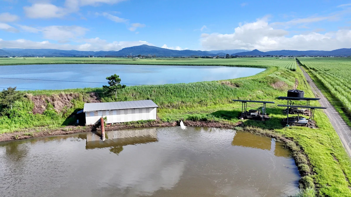 214 Kennys Road, Marian QLD 4753