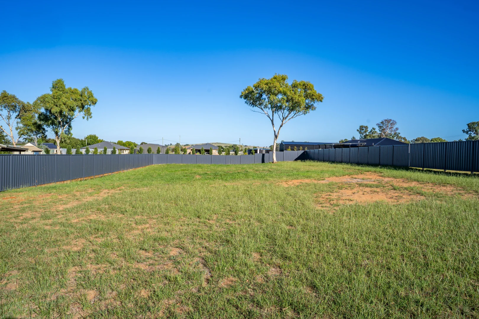 Additional image 5 of 207 Rodd Street, Canowindra NSW 2804