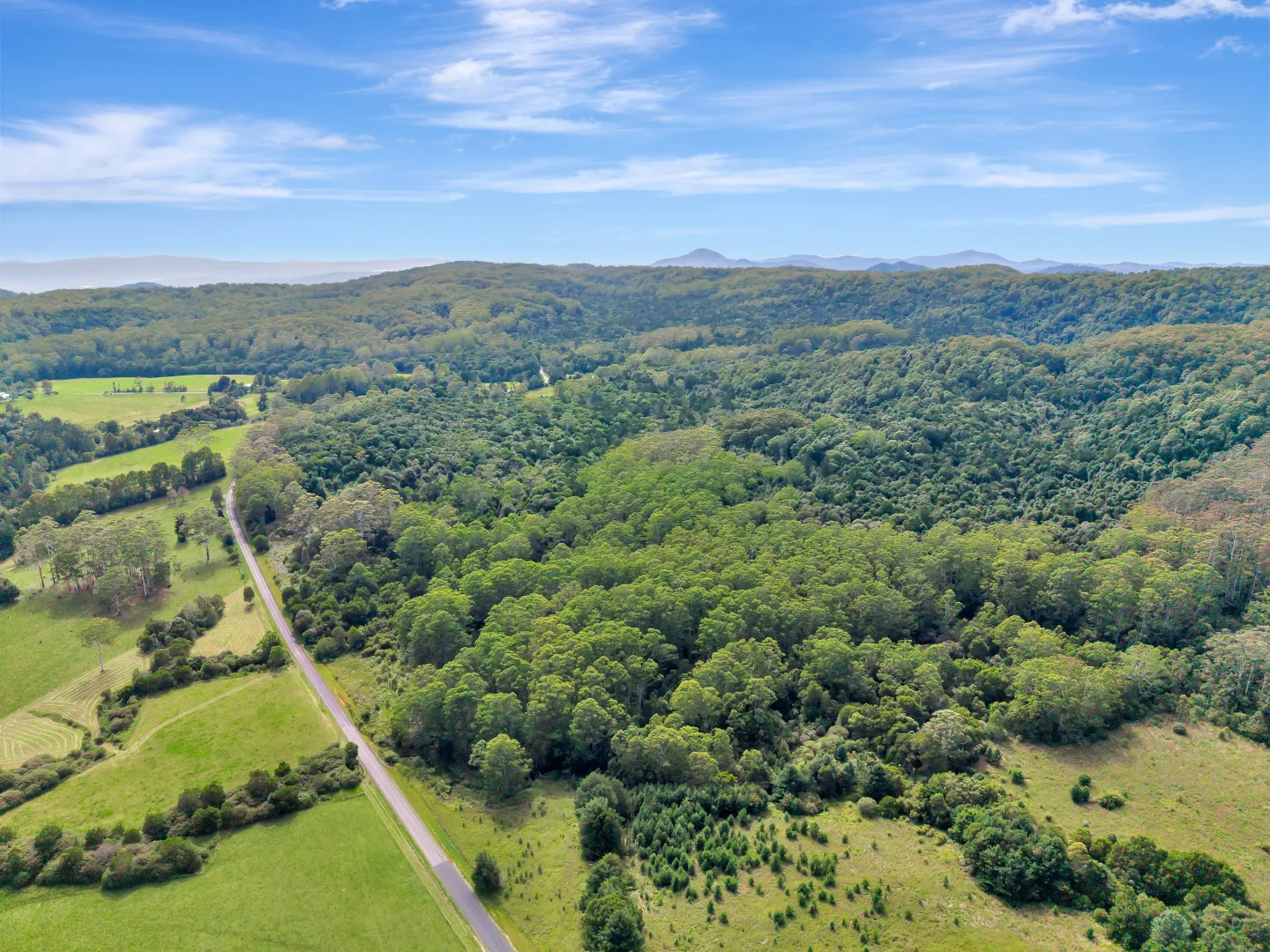 Additional image 23 of 1445 Eastern Dorrigo Way, Lowanna NSW 2450