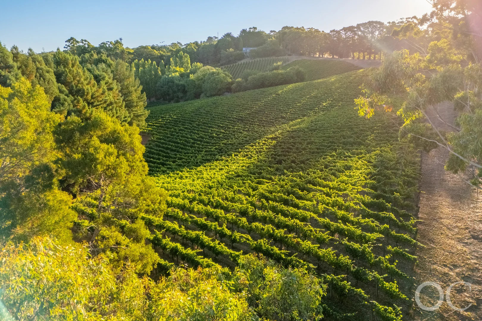 Additional image 26 of 143 Woods Hill Road, Ashton SA 5137