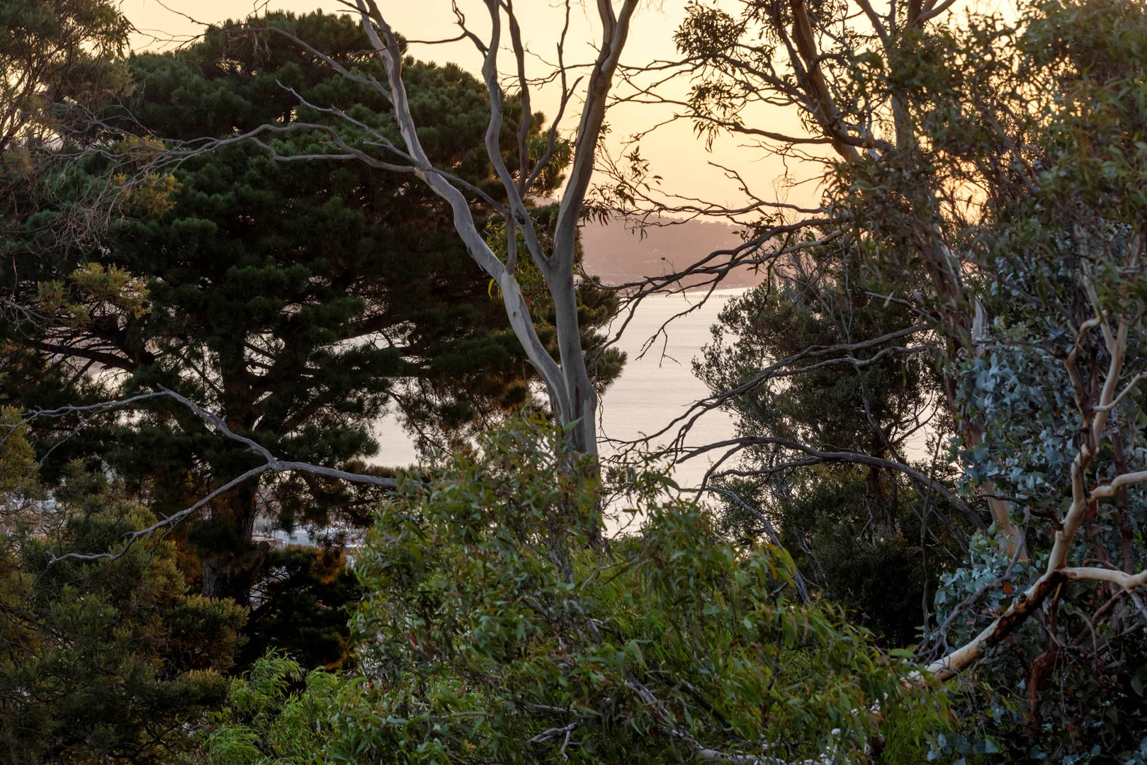 Additional image 19 of 86 Ellerina Road, Mount Martha VIC 3934