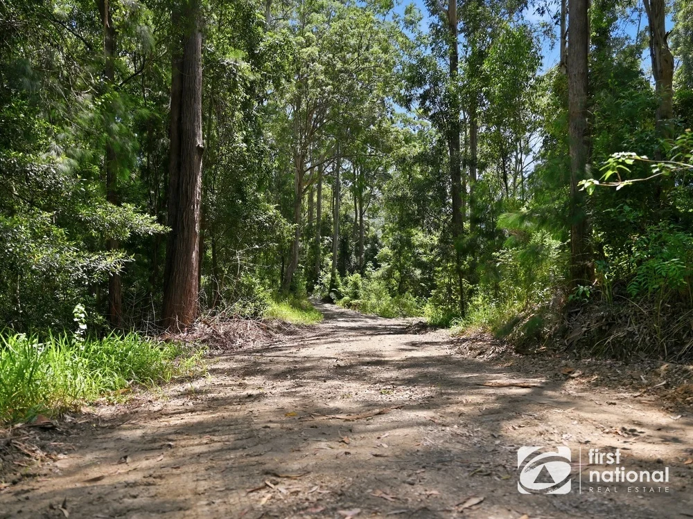 Additional image 18 of Lot 65 North Island Loop Road, Upper Orara NSW 2450