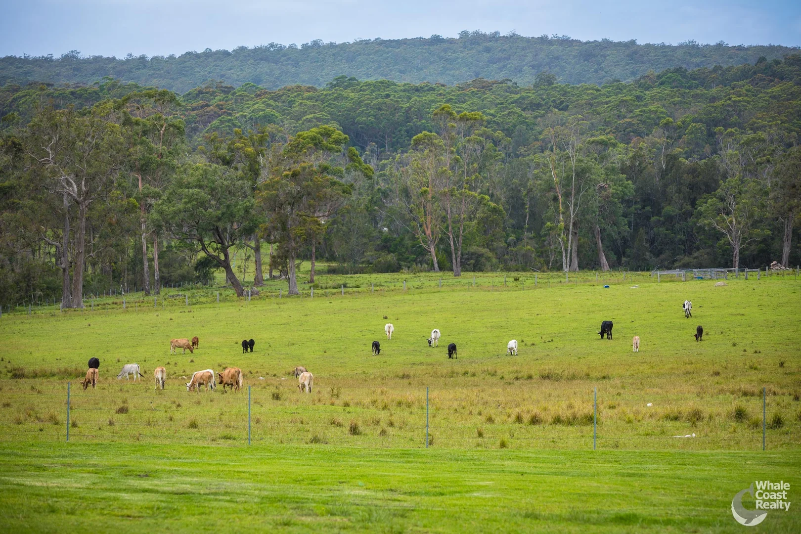Additional image 27 of 108-110 Princes Highway, Bodalla NSW 2545