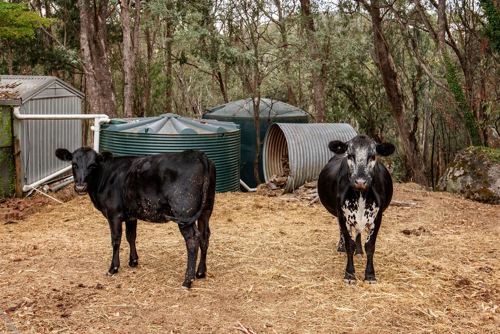 Additional image 23 of 22 Crystal Creek Lane, Yackandandah VIC 3749