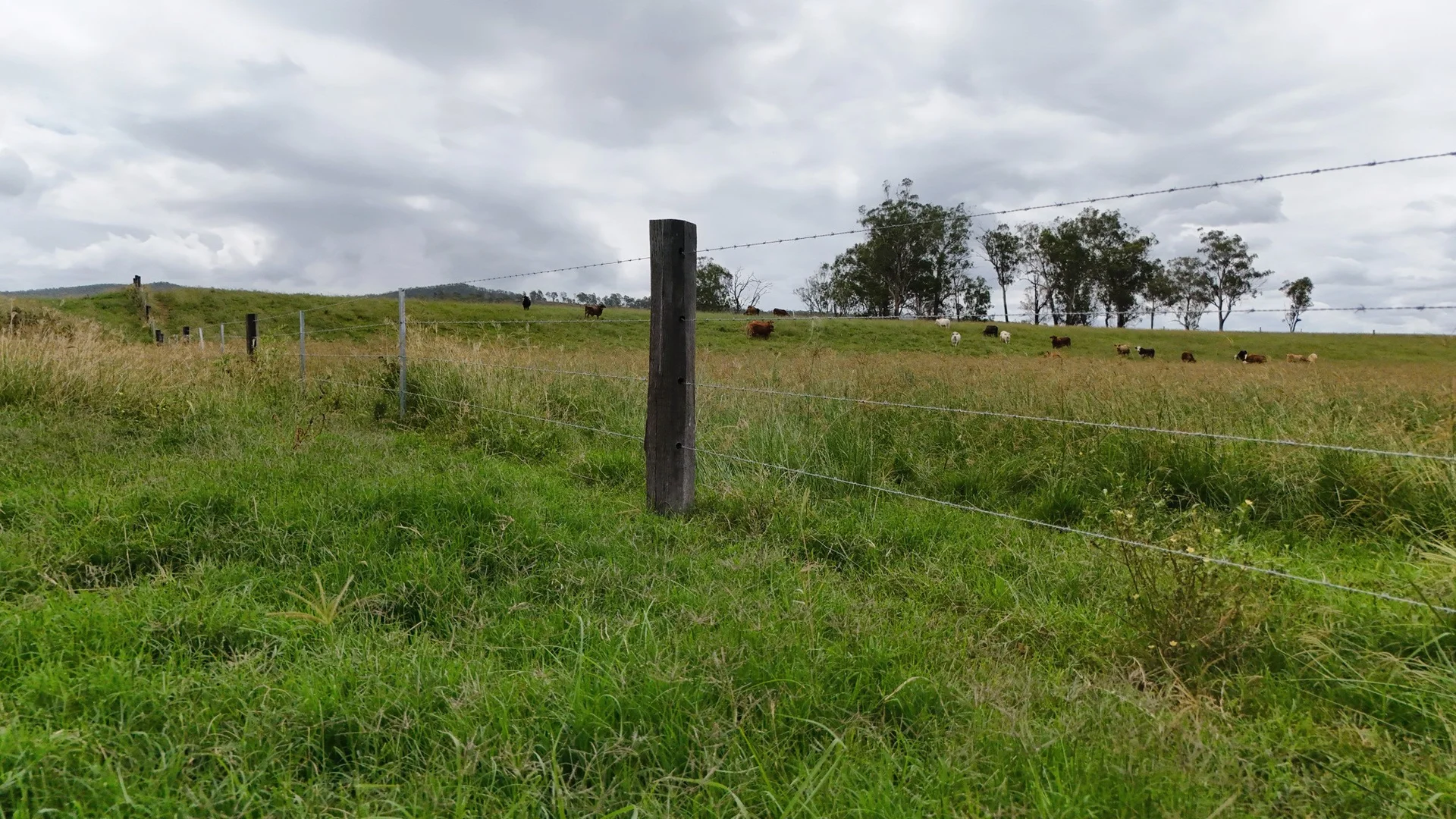 Additional image 13 of 288 Round Mountain Road, Laravale QLD 4285