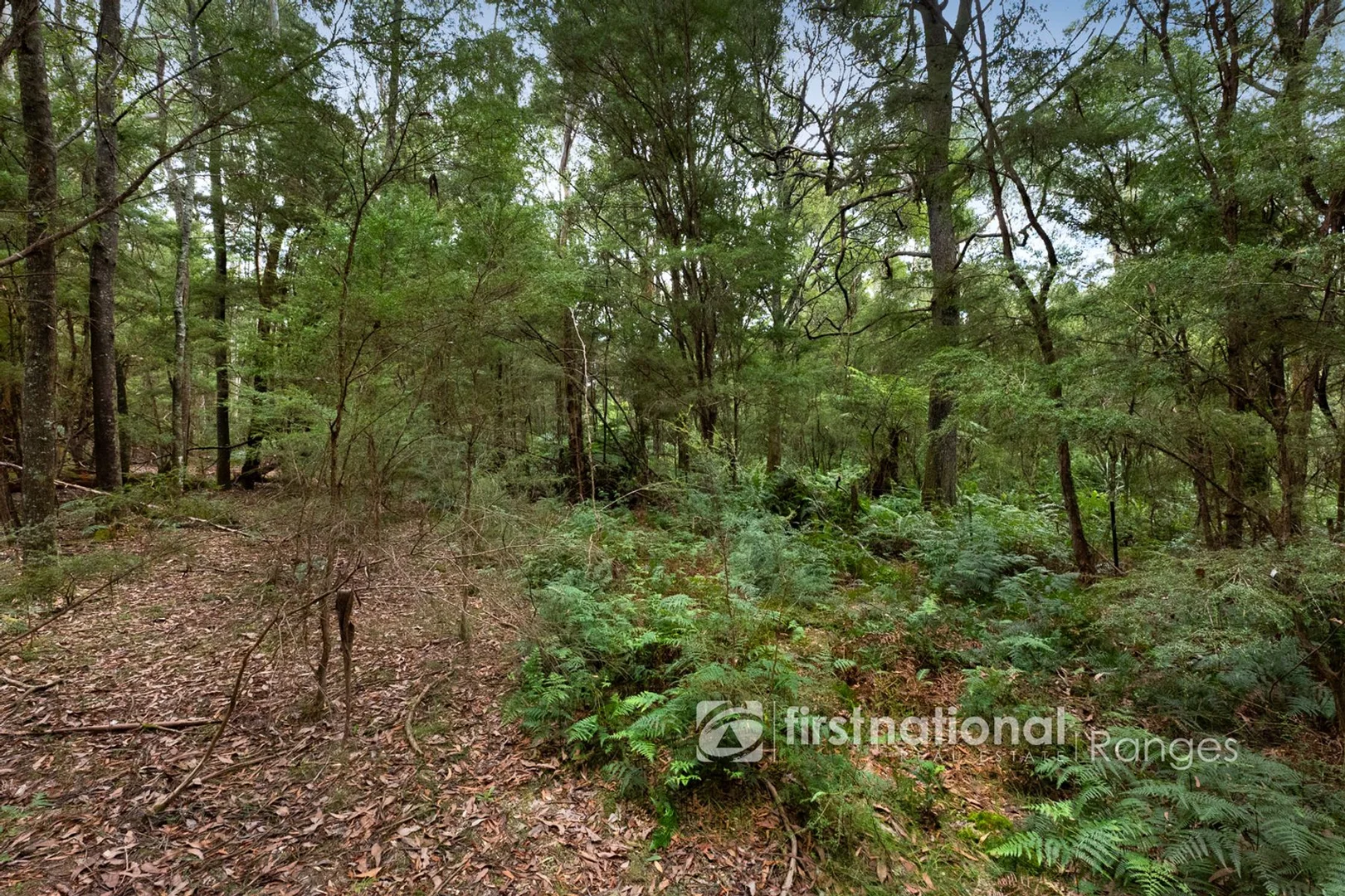 Additional image 23 of 705 Woori Yallock Road, Nangana VIC 3781