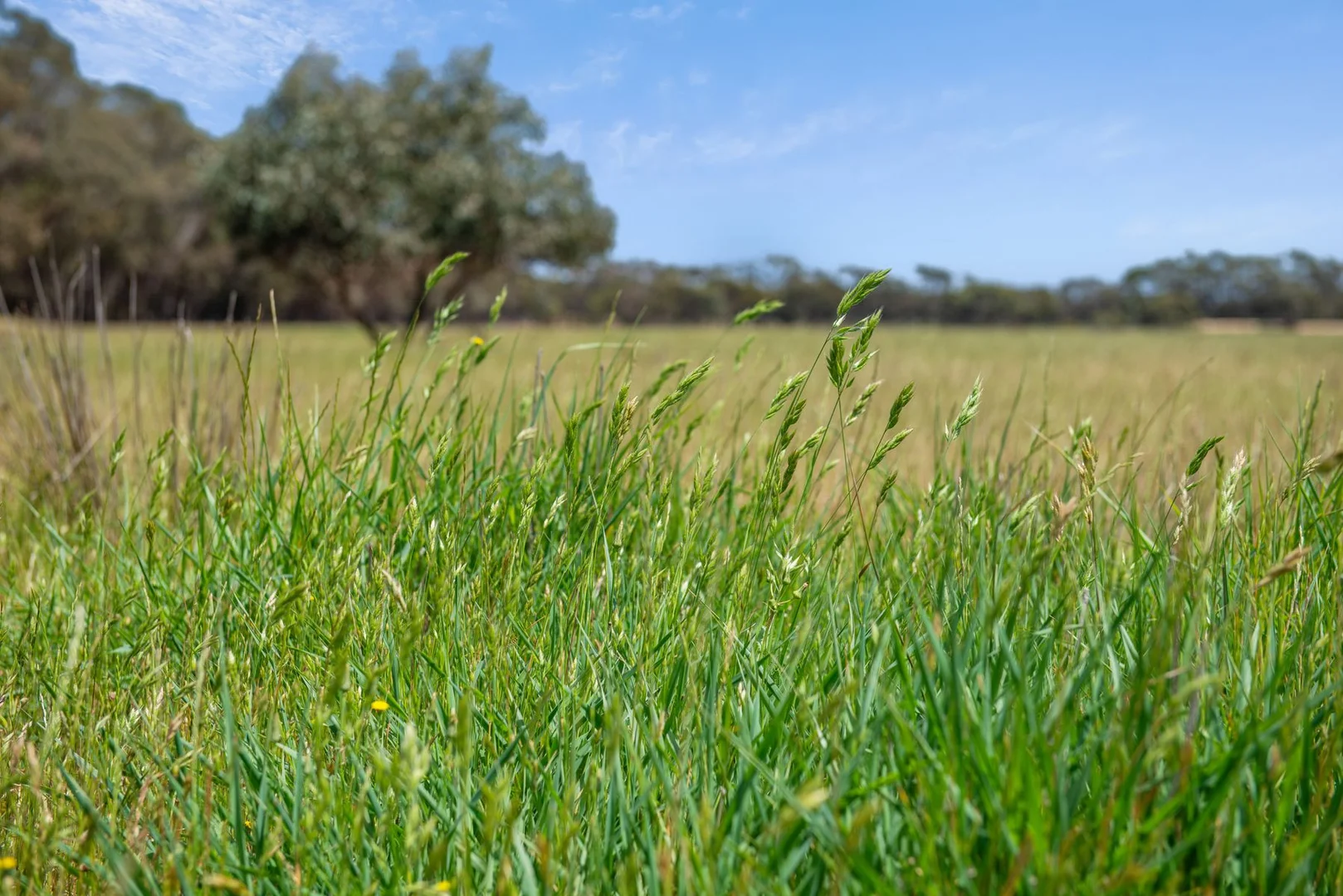 Additional image 14 of CA 45 Kellys Road, Kamarooka VIC 3570