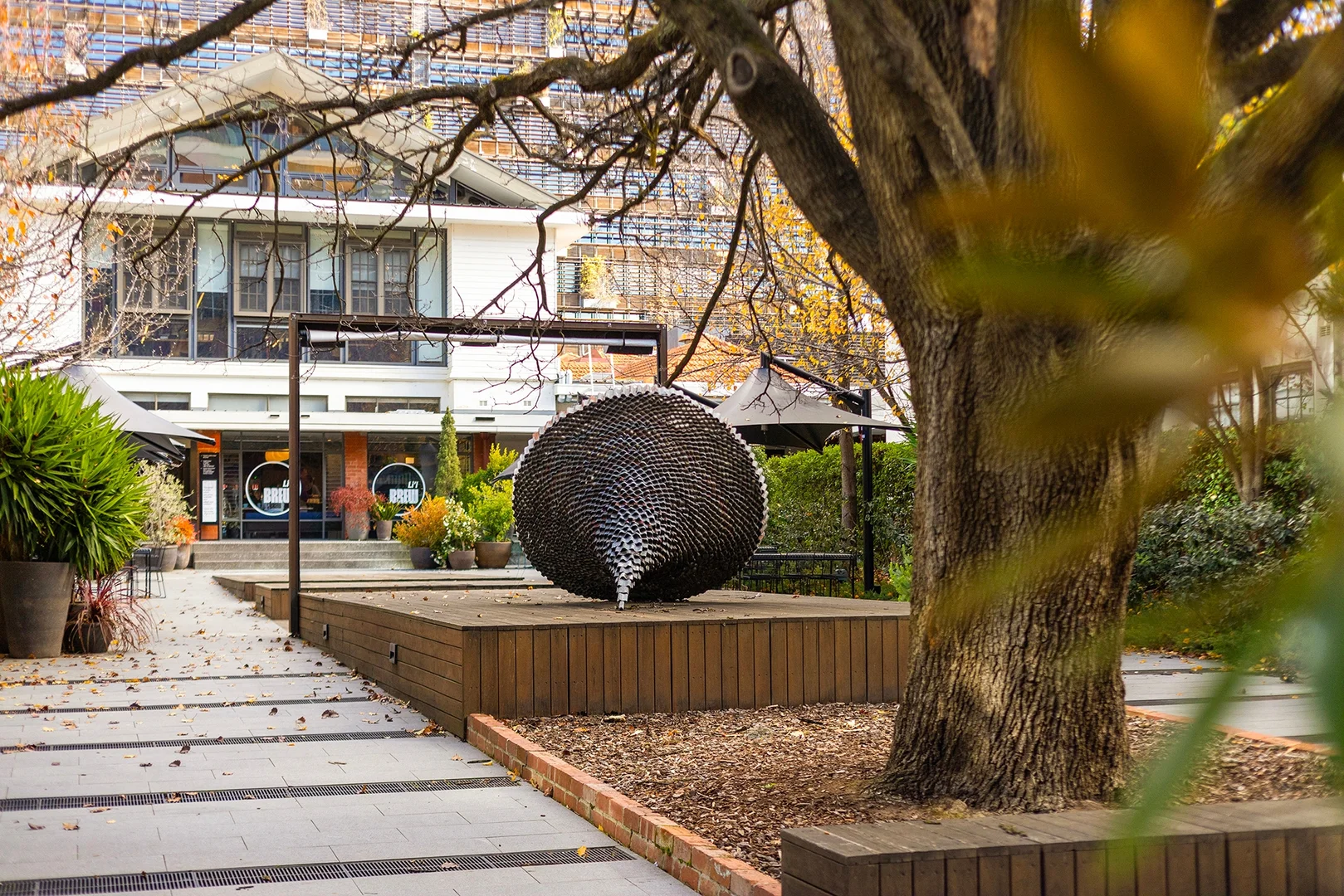 Additional image 15 of 308/19 Marcus Clarke Street, City ACT 2601