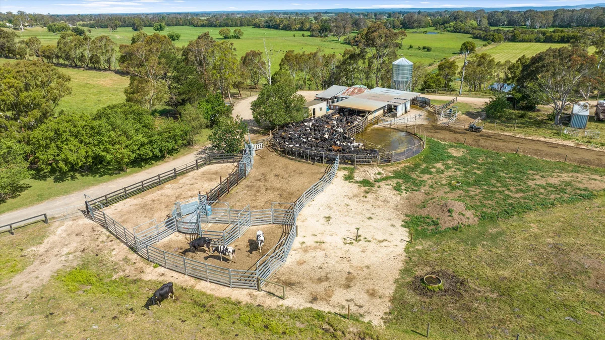 Additional image 3 of 335 Riverview Road, Heyfield VIC 3858