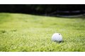 Additional image 44 of 4593 Temescal Canyon Rd, Corona, CA, 92883