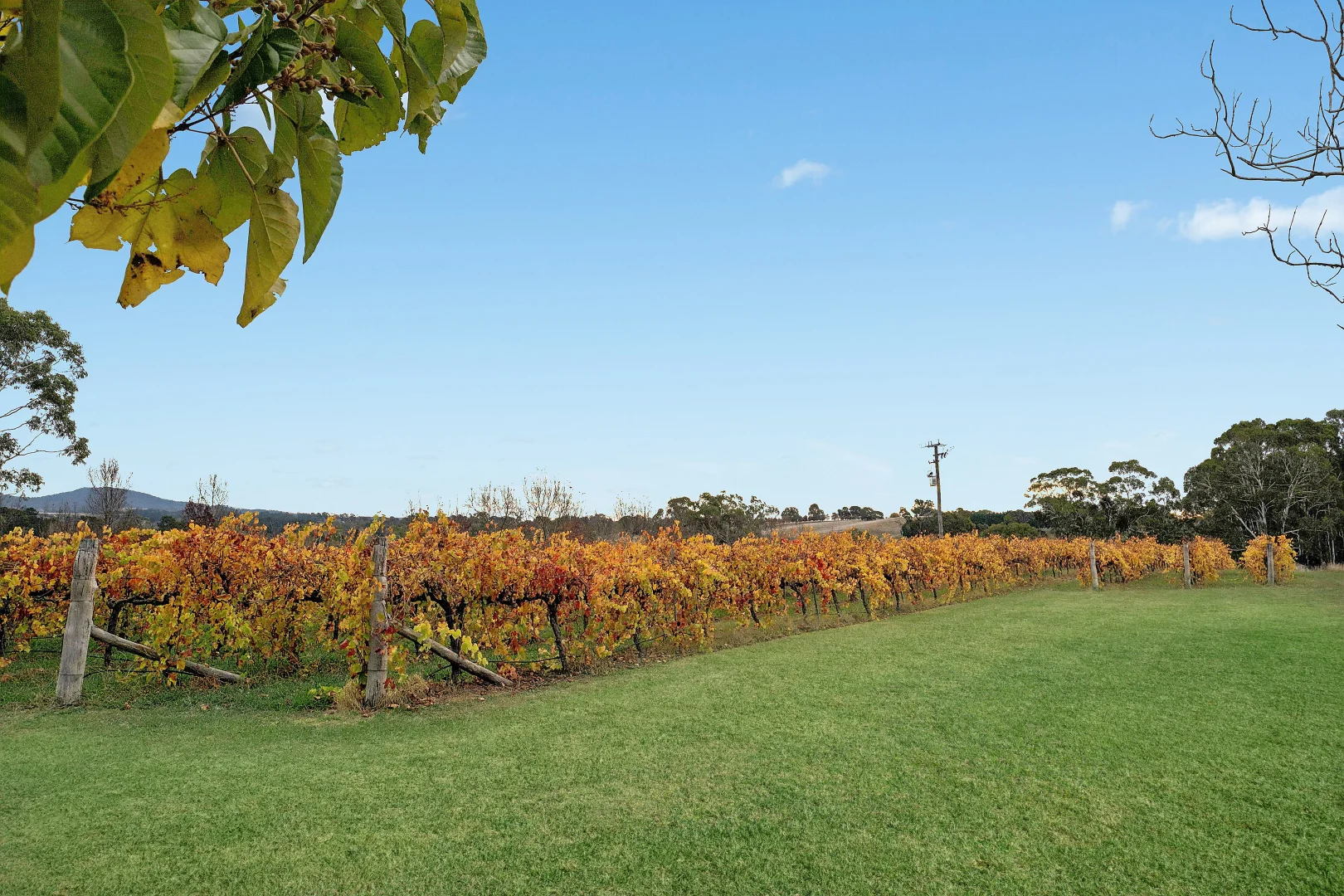 Additional image 26 of 432 Cargo Road, Orange NSW 2800