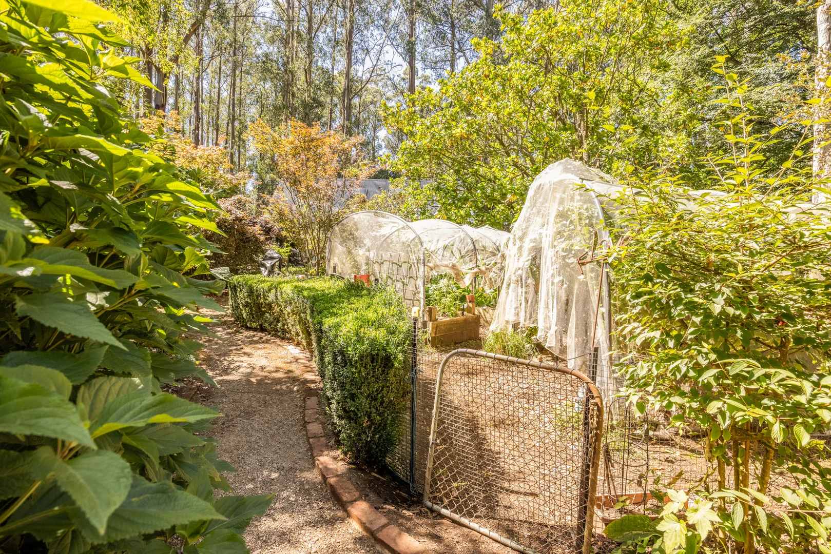 Additional image 22 of 8 Yvonne Road, Mount Dandenong VIC 3767