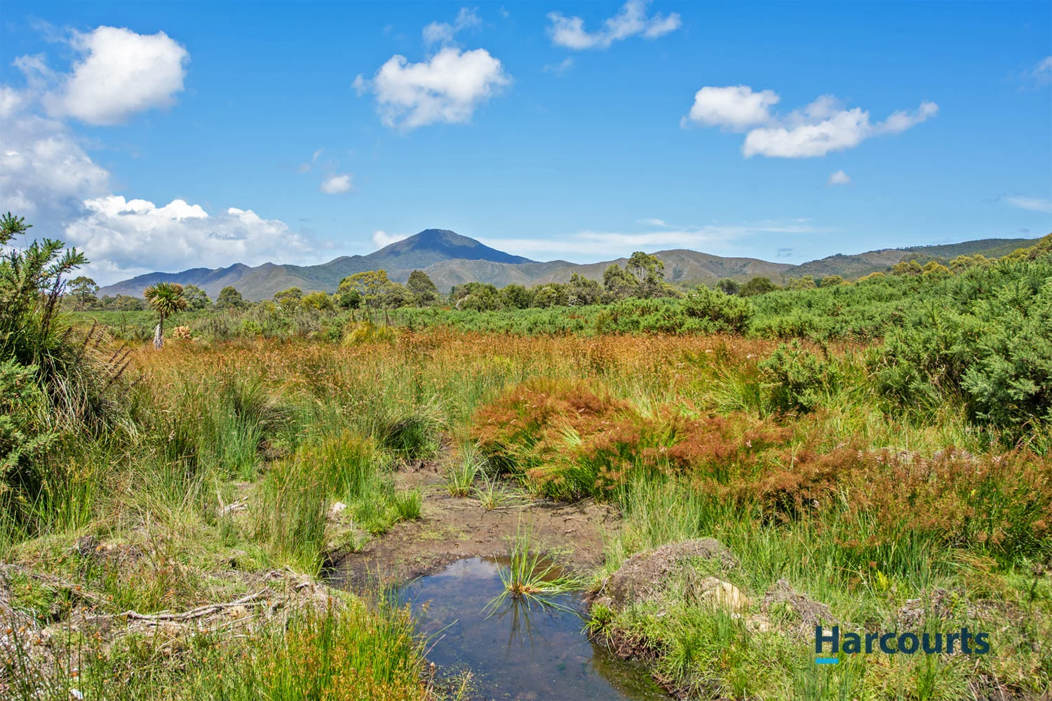 Additional image 4 of 7136621 Robinson Street, Zeehan TAS 7469