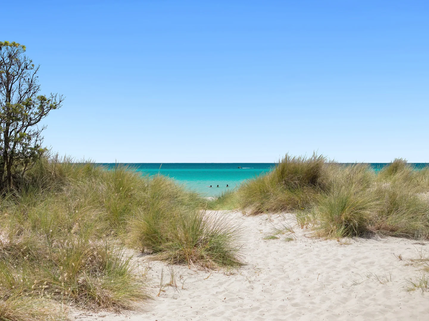 Additional image 9 of Boatshed 56, McCrae Foreshore, McCrae VIC 3938