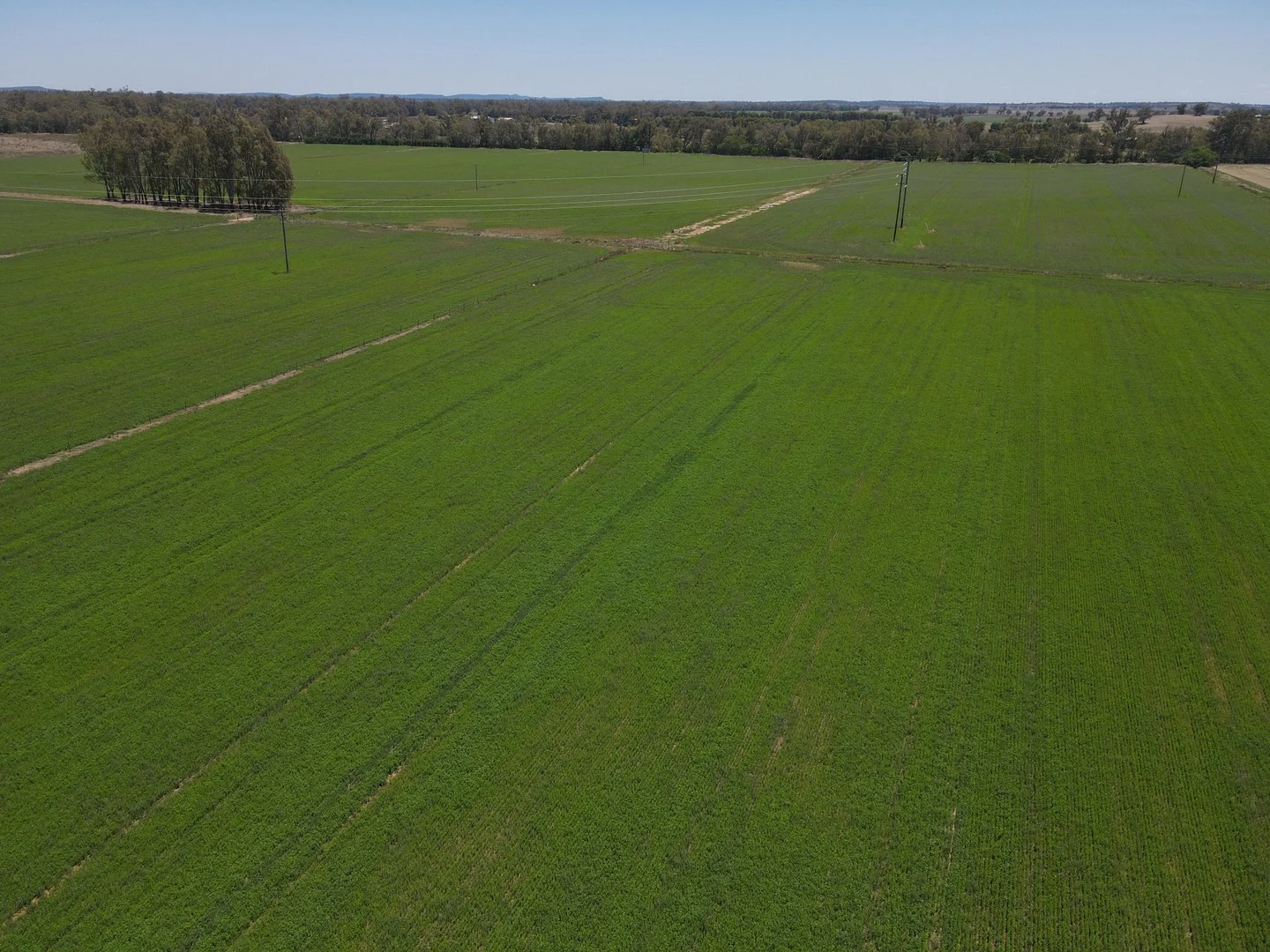 160 Lachlan Valley Way, Forbes NSW 2871