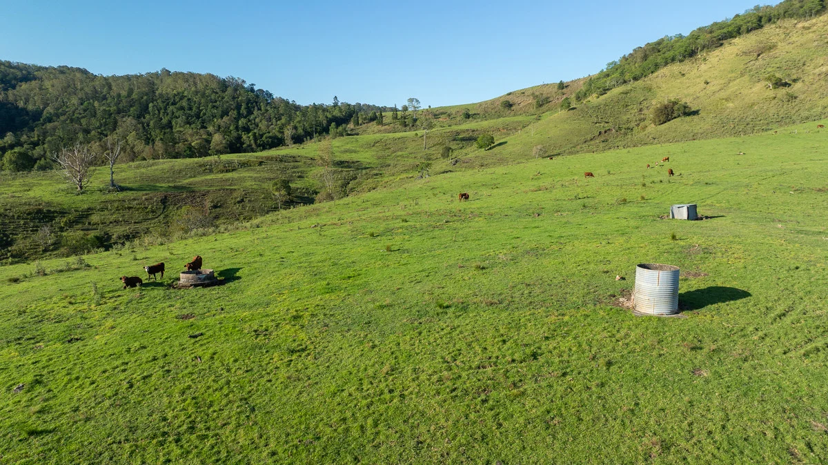 Additional image 21 of Bingeebeebra Creek, Mummulgum NSW 2469