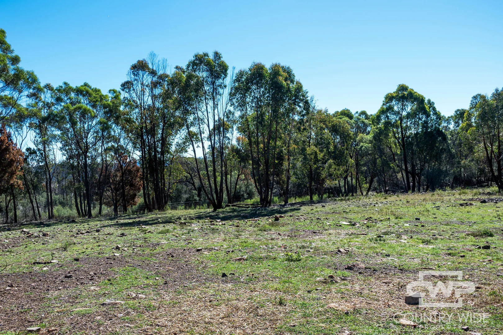 Additional image 16 of 2207 Emmaville Road, Glen Innes NSW 2370