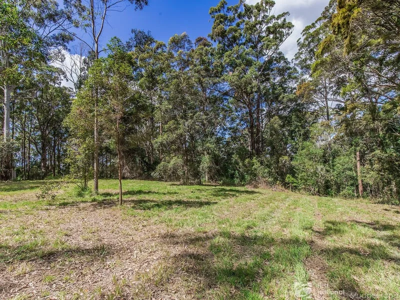 Additional image 9 of 1806 Gold Coast Springbrook Road, Springbrook QLD 4213