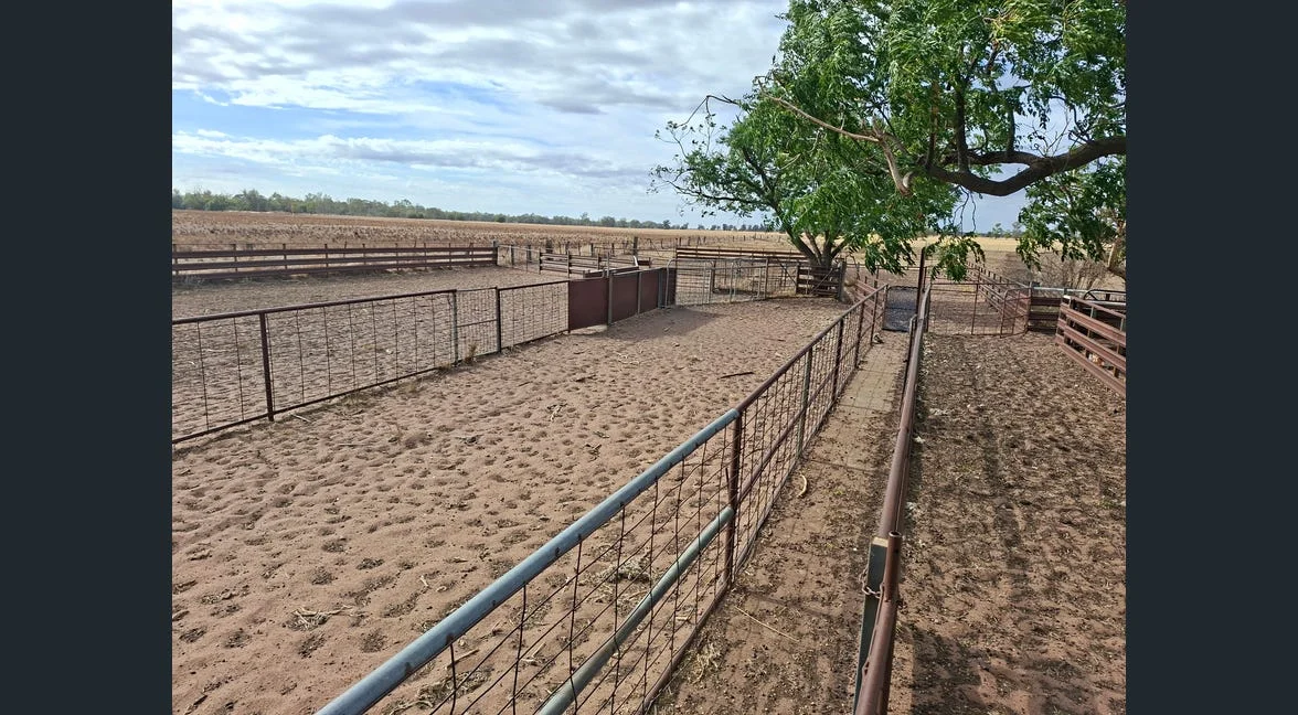 Additional image 14 of Alloway, Gilgandra NSW 2827