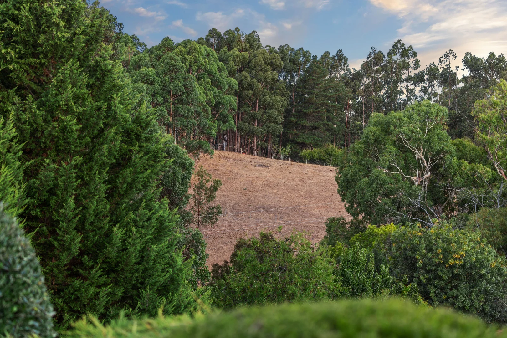 Additional image 9 of 23 Totness Road, Totness SA 5250