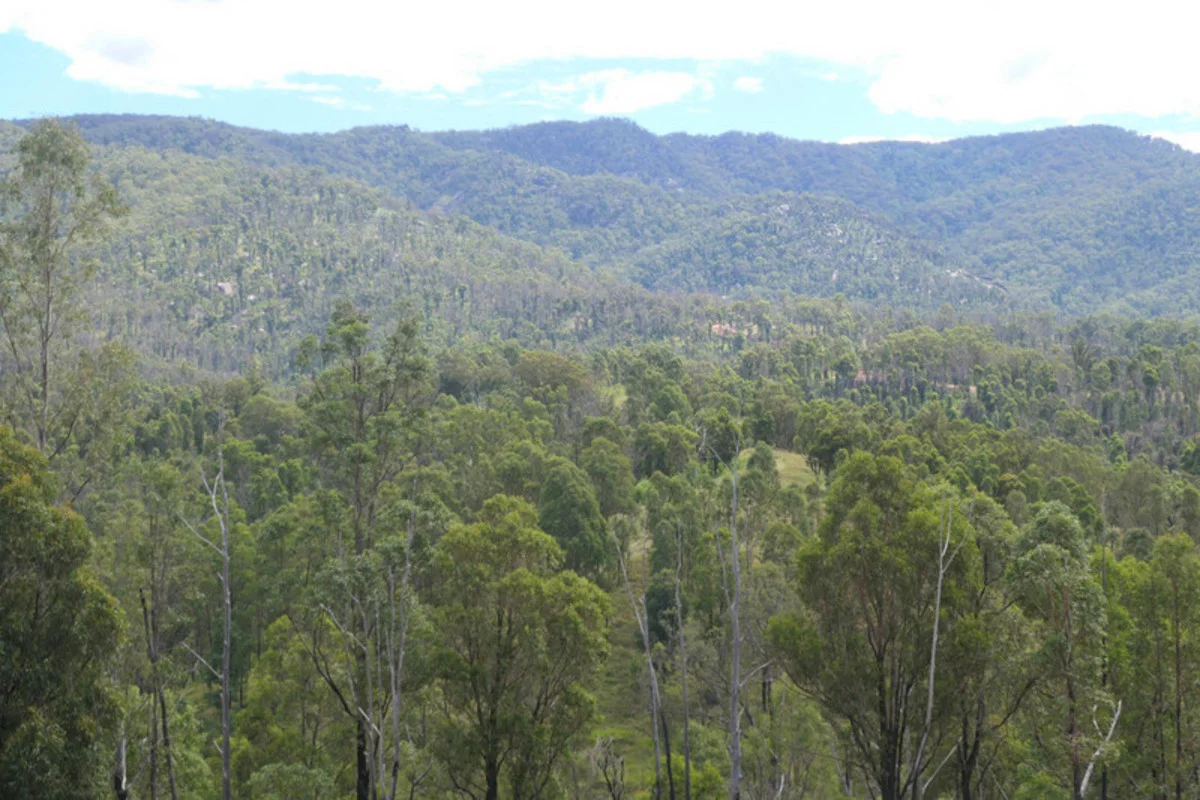 Additional image 8 of 3501b Rocky River Road, Rocky River NSW 2372