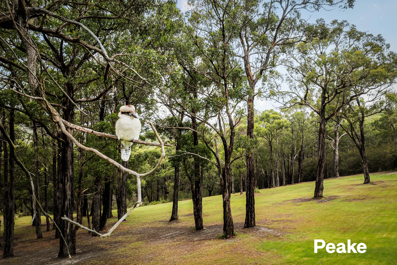 Additional image 17 of 89 Bimbimbie Drive, Dewhurst VIC 3808