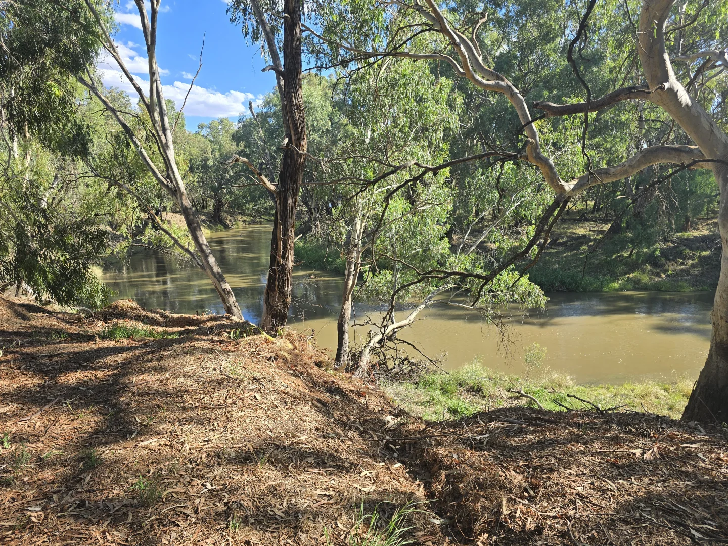 Additional image 21 of 9 Graf Street, Condobolin NSW 2877