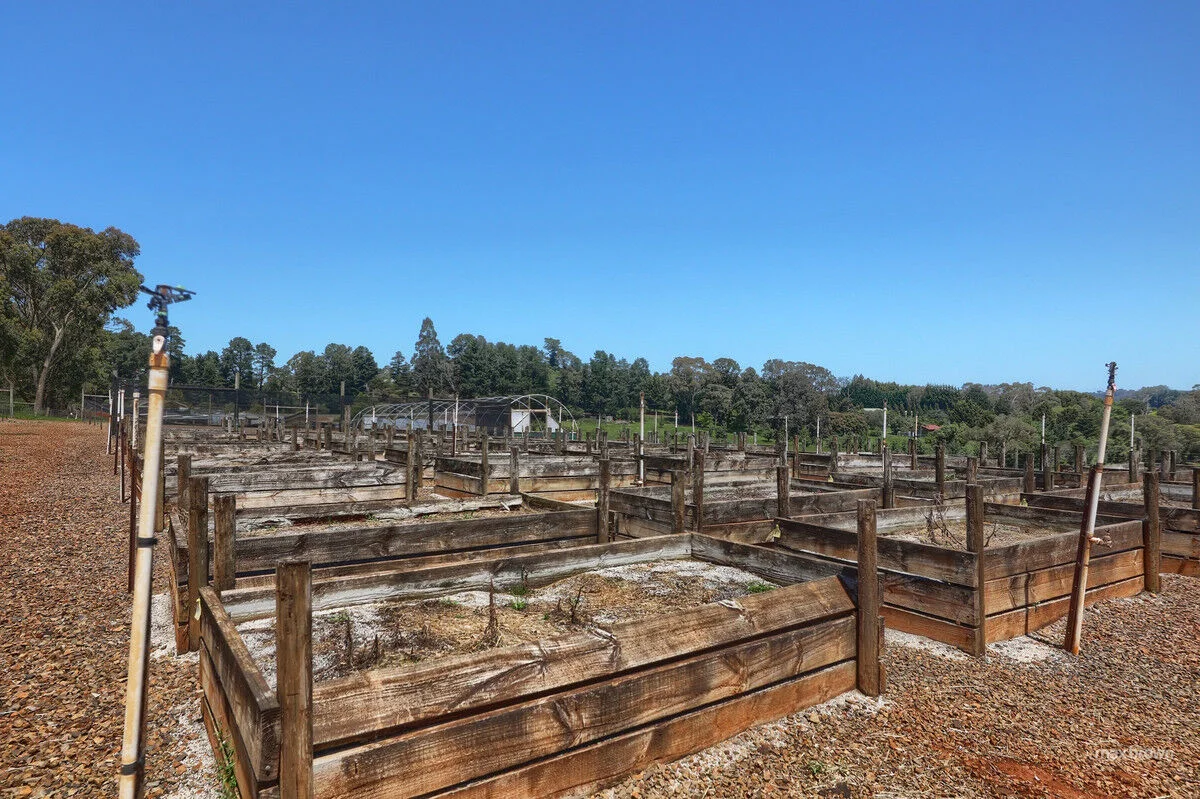 Additional image 26 of 250 Wandin Creek Road, Wandin East VIC 3139