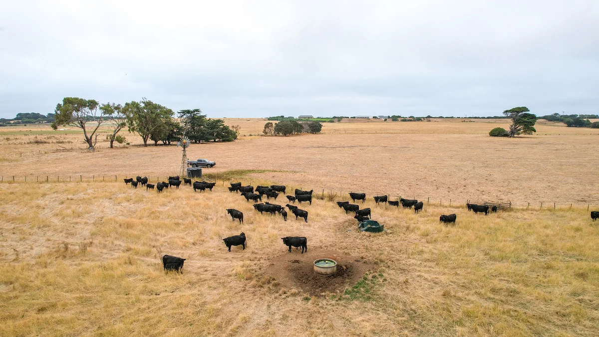 Additional image 7 of 6 Orchards Road, Narrawong VIC 3285