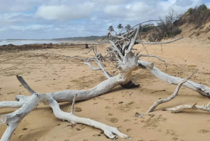 Additional image 14 of 136 Oyster Creek Road, Oyster Creek QLD 4674