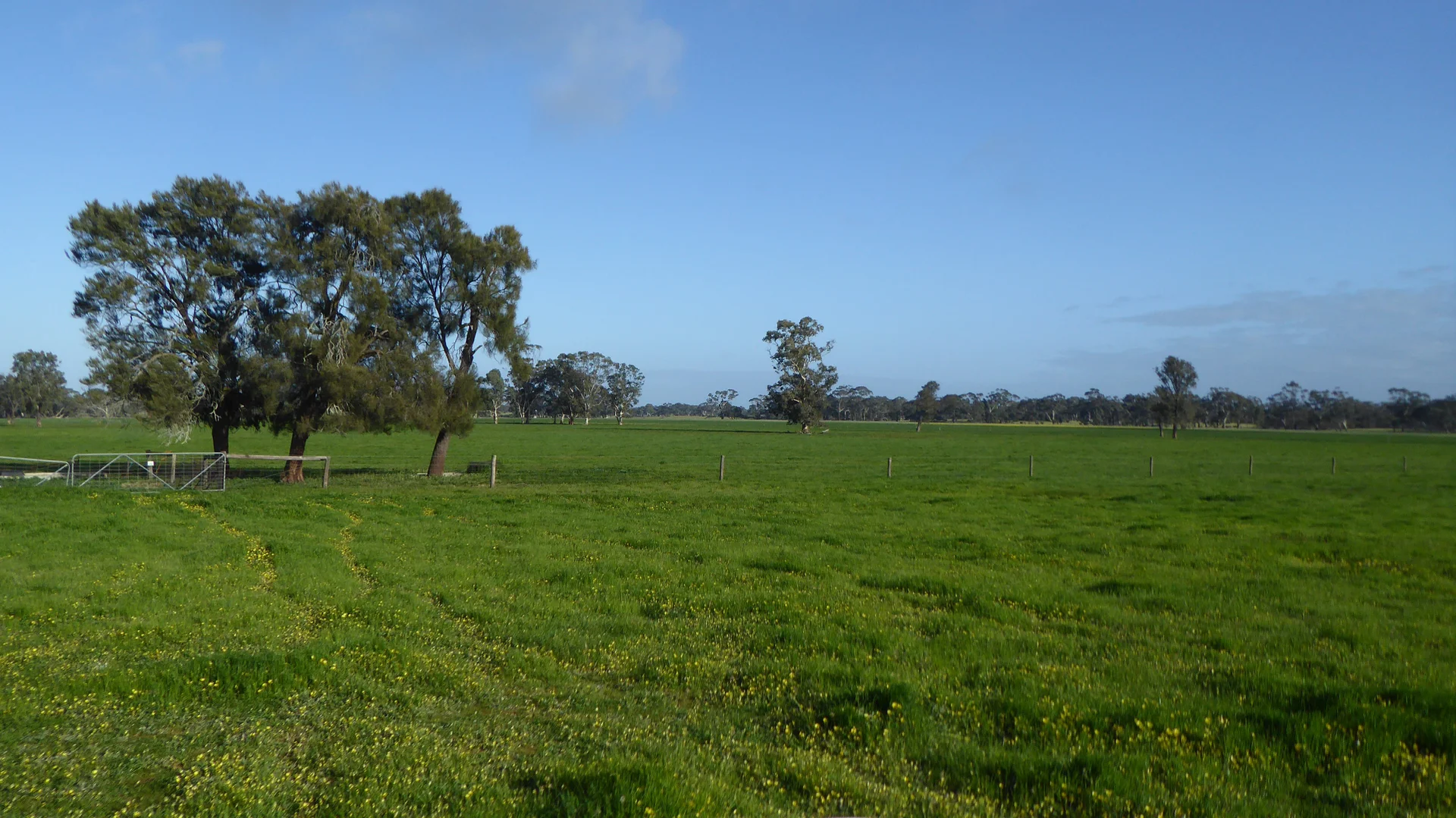 Additional image 14 of 2448 Bangham Road, Frances SA 5262