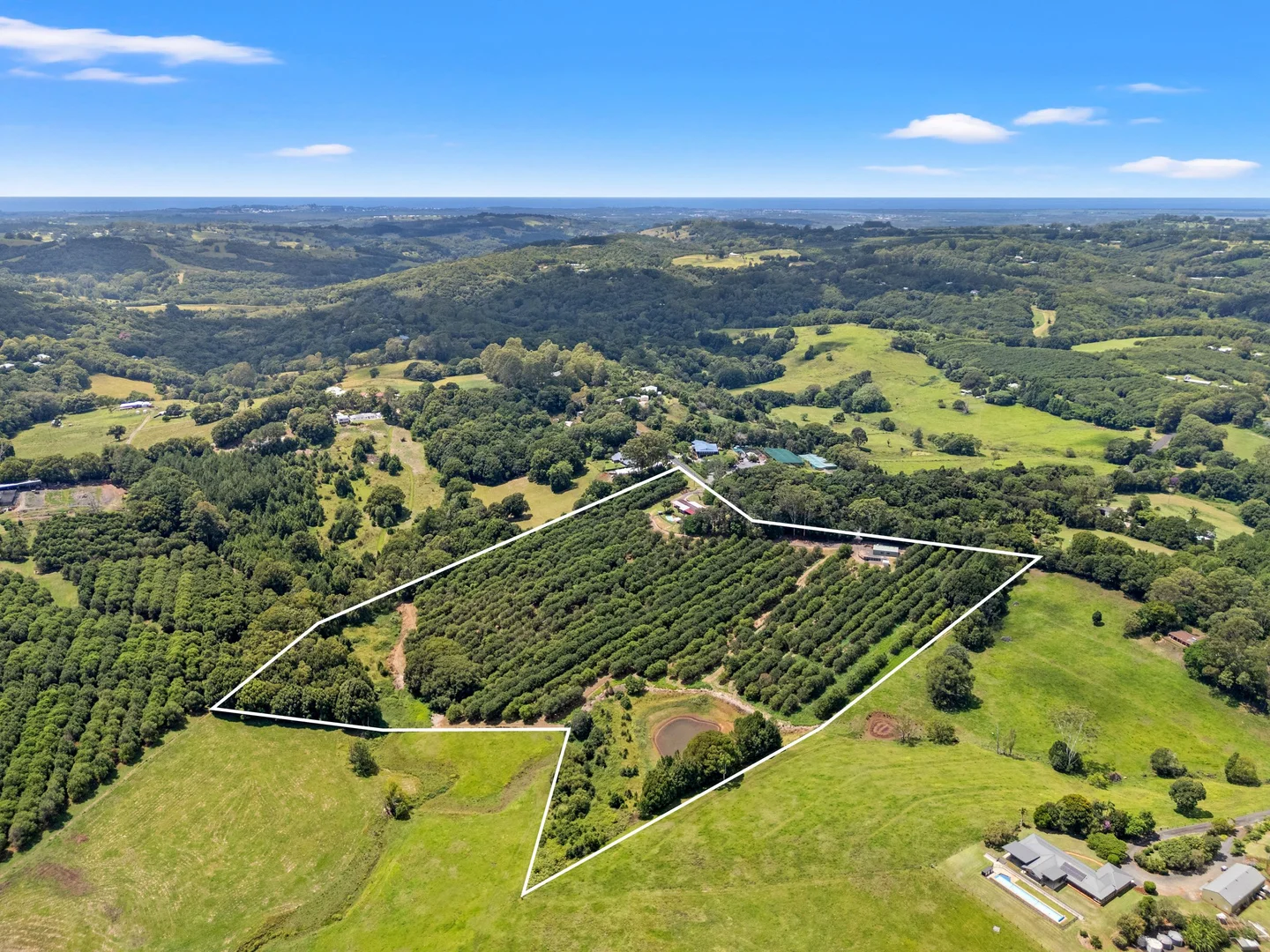 Additional image 6 of 475 Pearces Creek Road, Alstonvale NSW 2477
