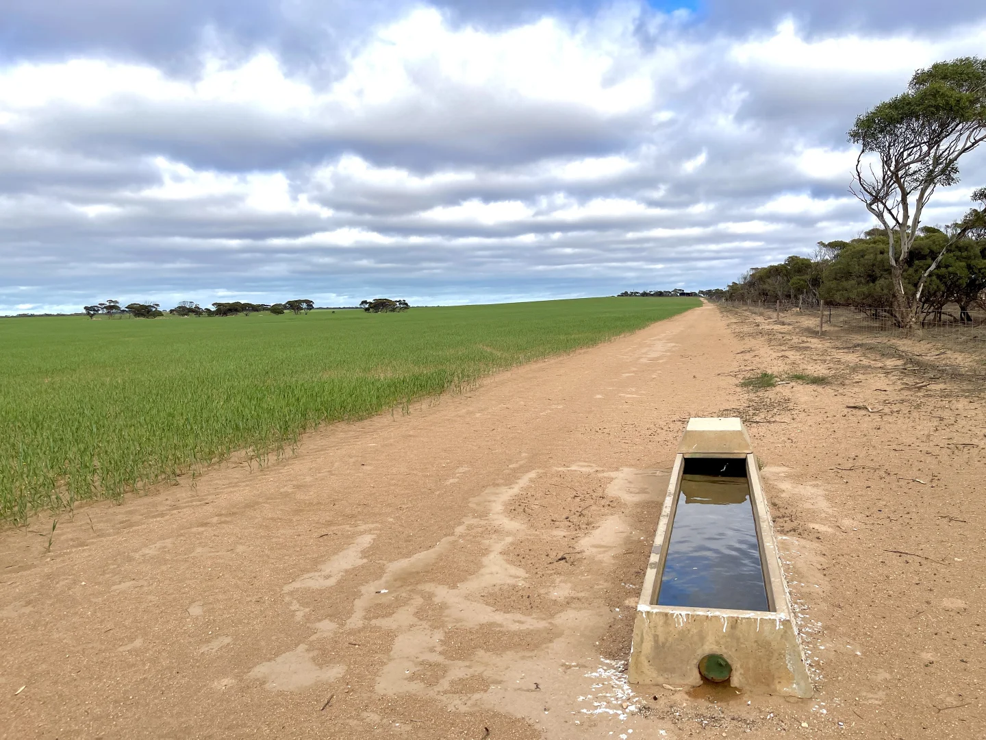 Additional image 10 of Section 22 Marchant Road, Mudamuckla SA 5680