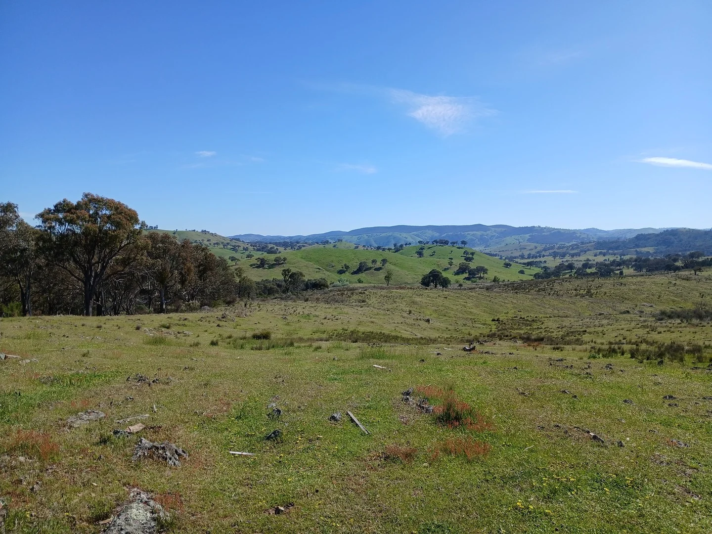 Lot 161 Eldridges Lane, Taylors Flat NSW 2586