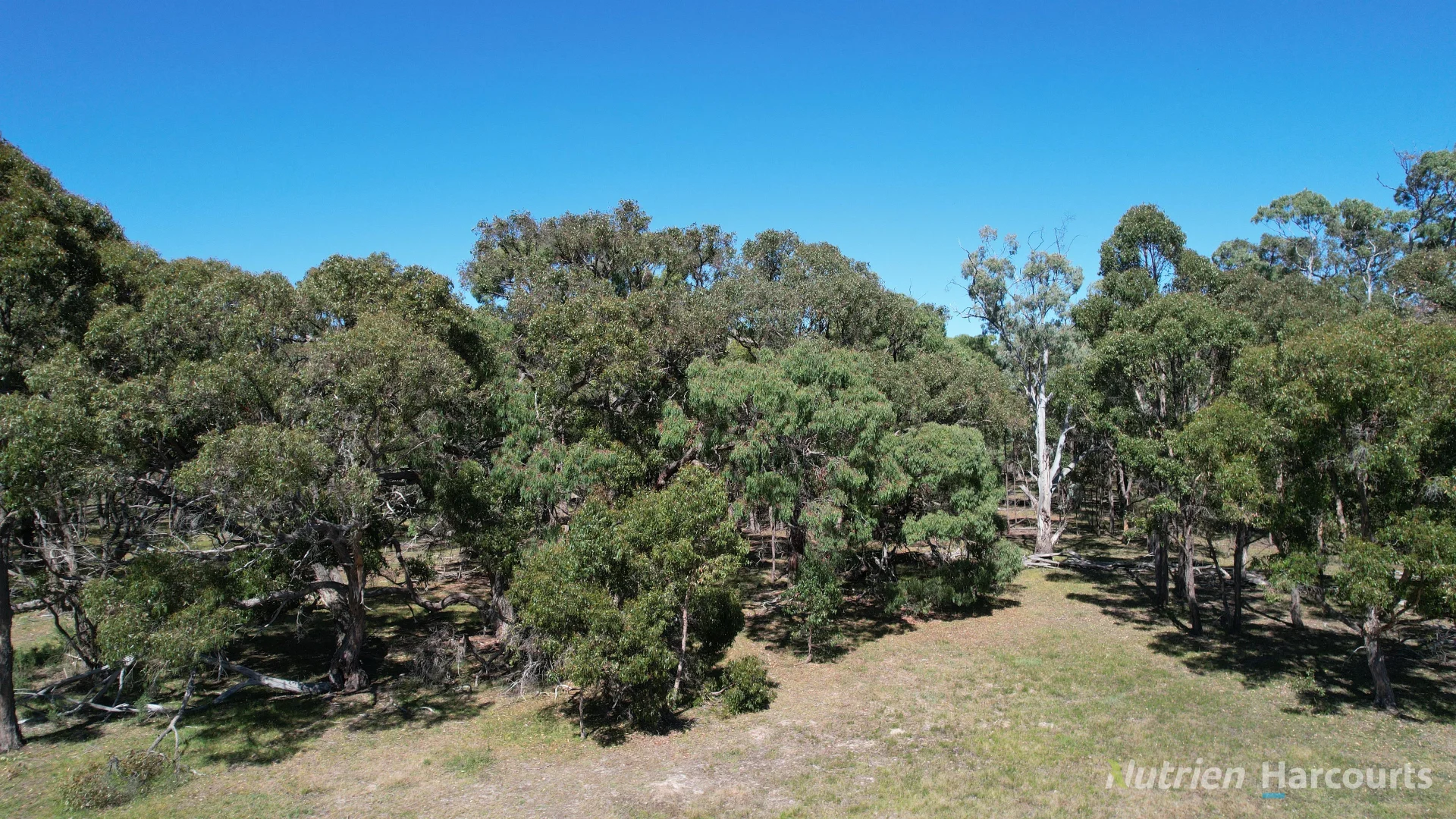 Additional image 10 of CA 46/225 Wilsons Road, Kooroocheang VIC 3364