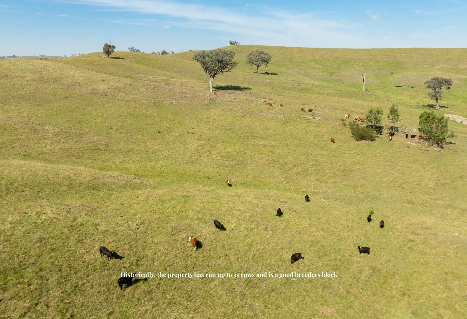 Additional image 13 of 'Shepherds Rest' 4535 Burrendong Way, Euchareena NSW 2866